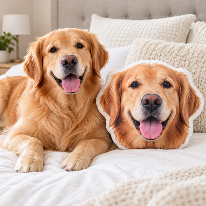 Custom Shaped Pet Portrait Pillows — gallery custom-cut-pillows — Dear Paw Studio