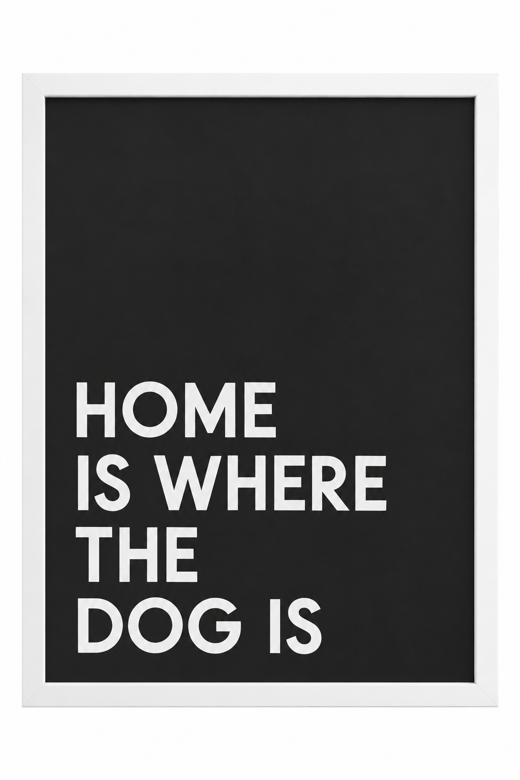 Home Is Where The Dog Is — gallery 06 — Dear Paw Studio