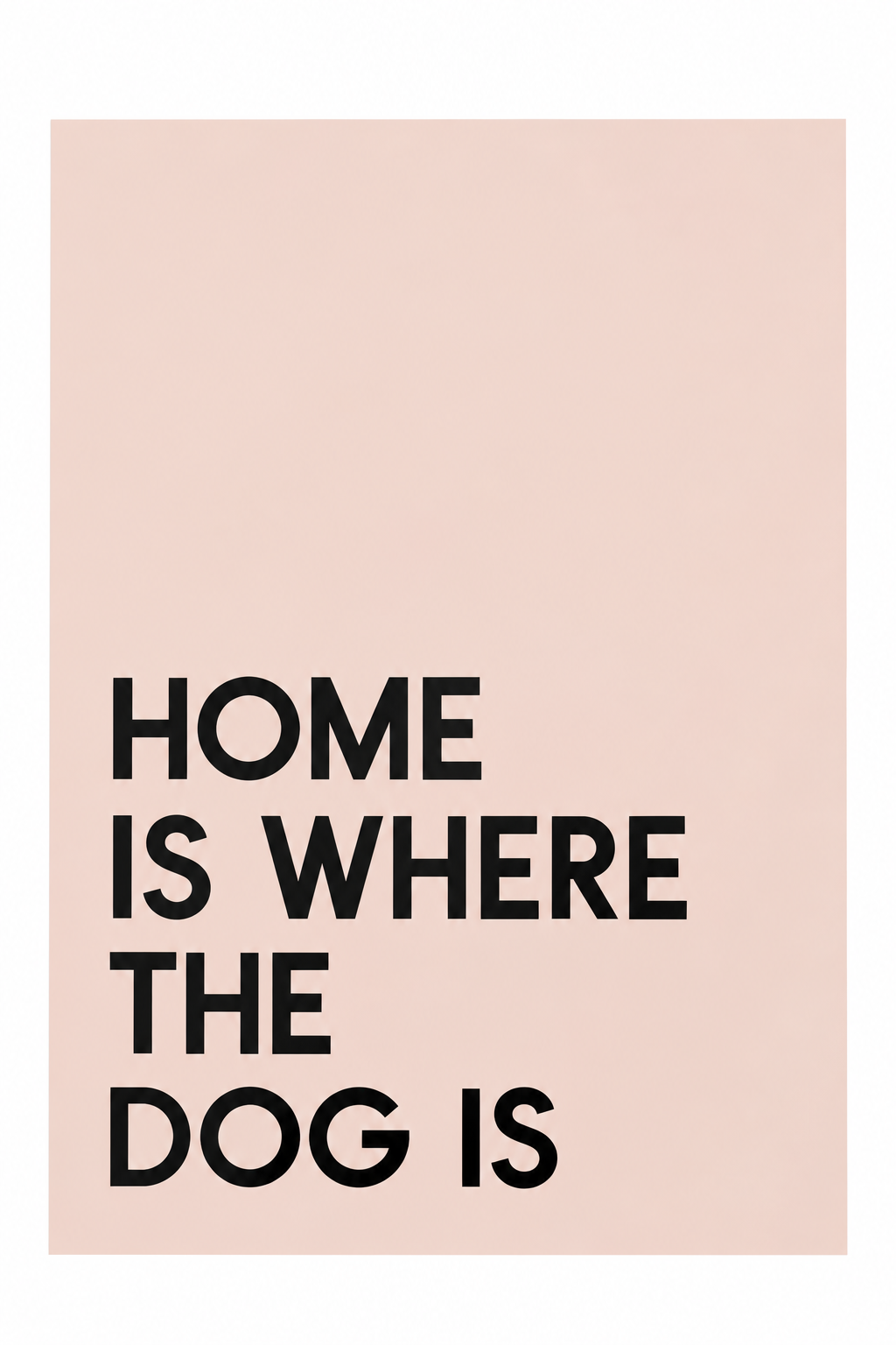 Home Is Where The Dog Is — gallery 08 — Dear Paw Studio
