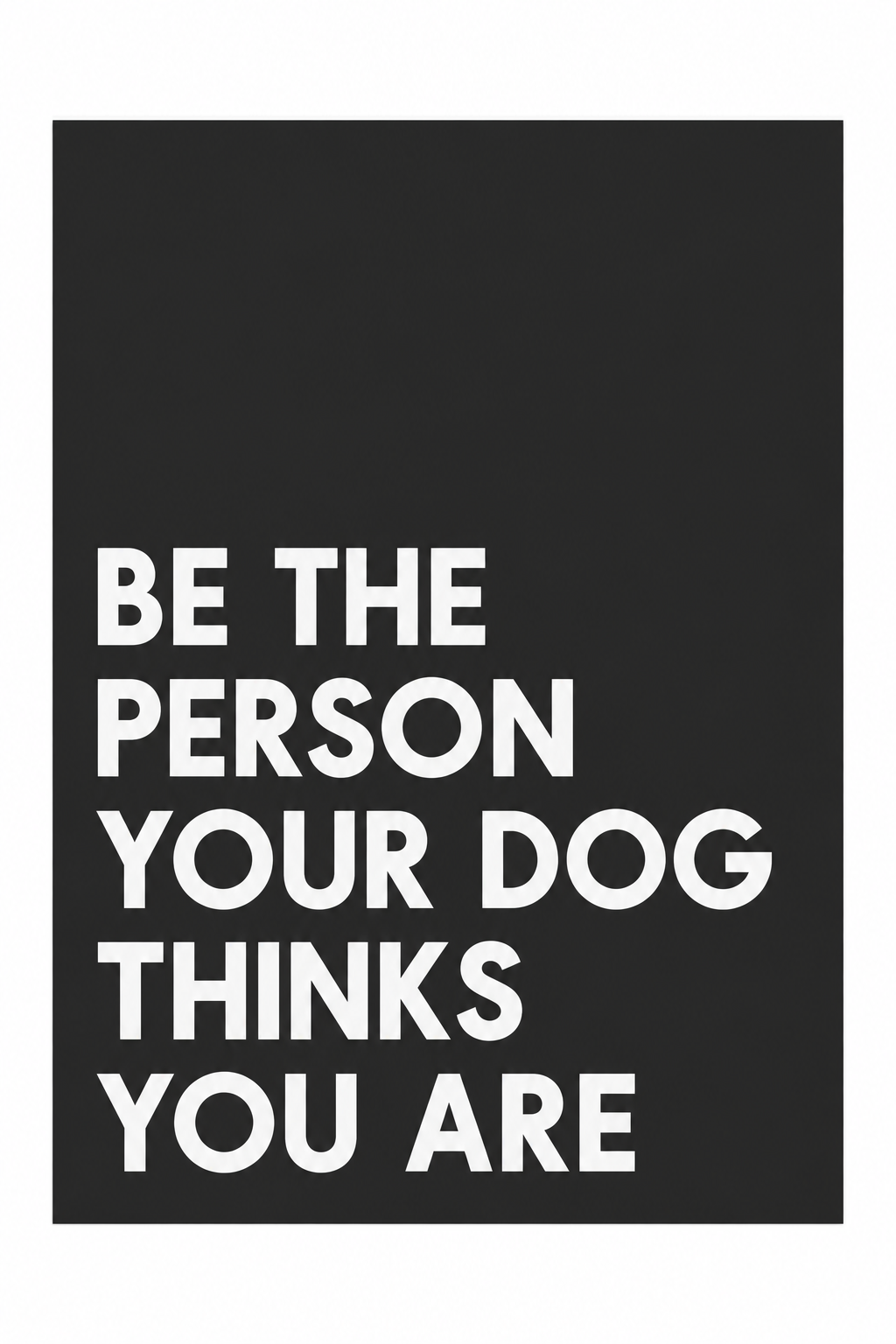 Be The Person Your Dog Thinks You Are — gallery 07 — Dear Paw Studio