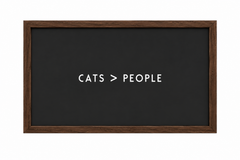 Cats > People — gallery 05 — Dear Paw Studio
