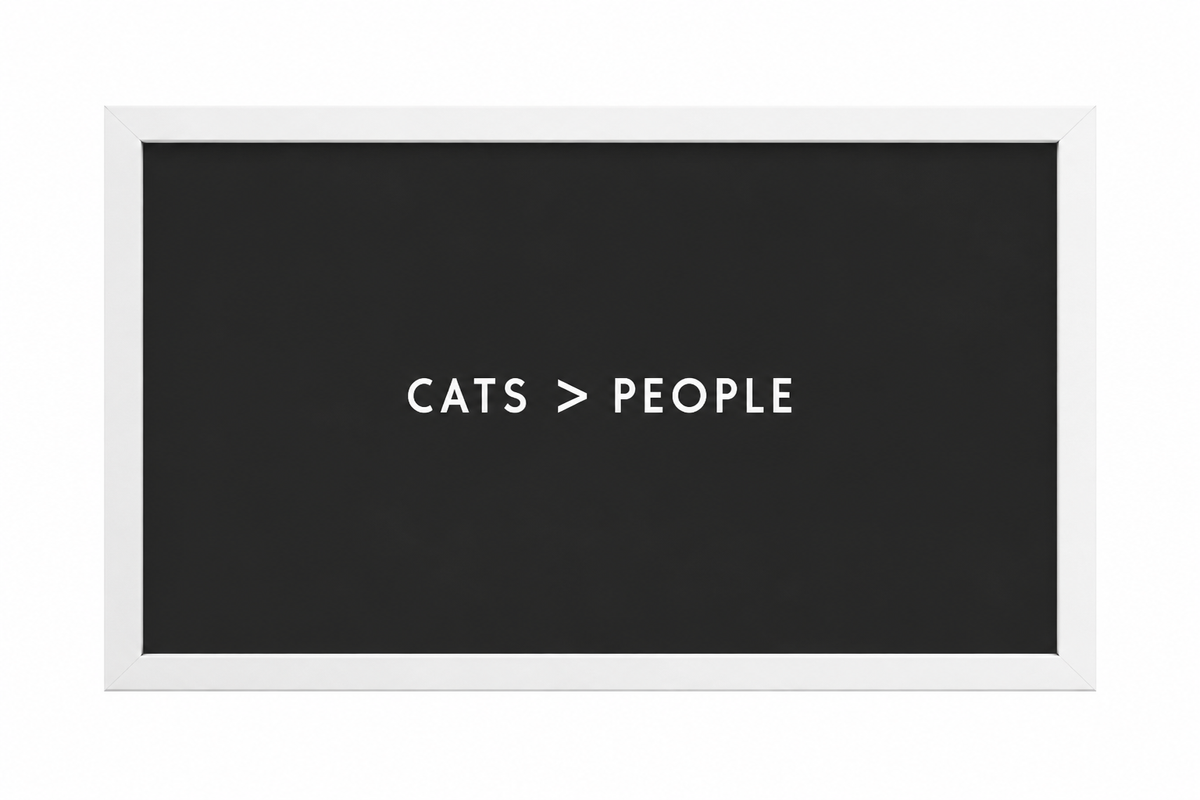 Cats > People — gallery 06 — Dear Paw Studio