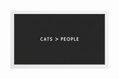 Cats > People — gallery 06 — Dear Paw Studio