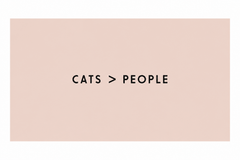 Cats > People — gallery 08 — Dear Paw Studio