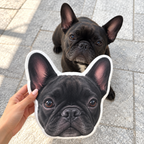 Custom Shaped Pet Portrait Pillows — gallery 04 — Dear Paw Studio