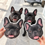 Custom Shaped Pet Portrait Pillows — gallery 05 — Dear Paw Studio