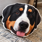 Custom Shaped Pet Portrait Pillows — gallery 10 — Dear Paw Studio