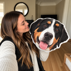 Custom Shaped Pet Portrait Pillows — gallery 11 — Dear Paw Studio
