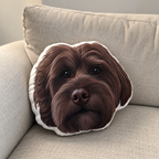 Custom Shaped Pet Portrait Pillows — gallery 13 — Dear Paw Studio