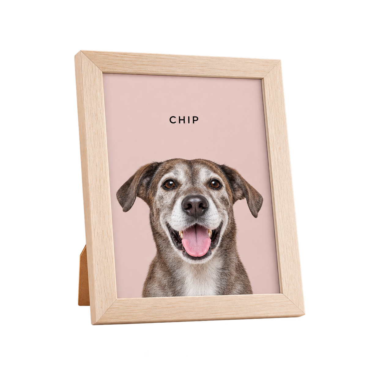 Custom Desktop One Pet Portrait — gallery 03 — Dear Paw Studio