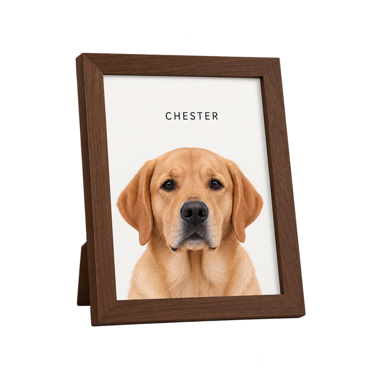 Custom Desktop One Pet Portrait — gallery 04 — Dear Paw Studio