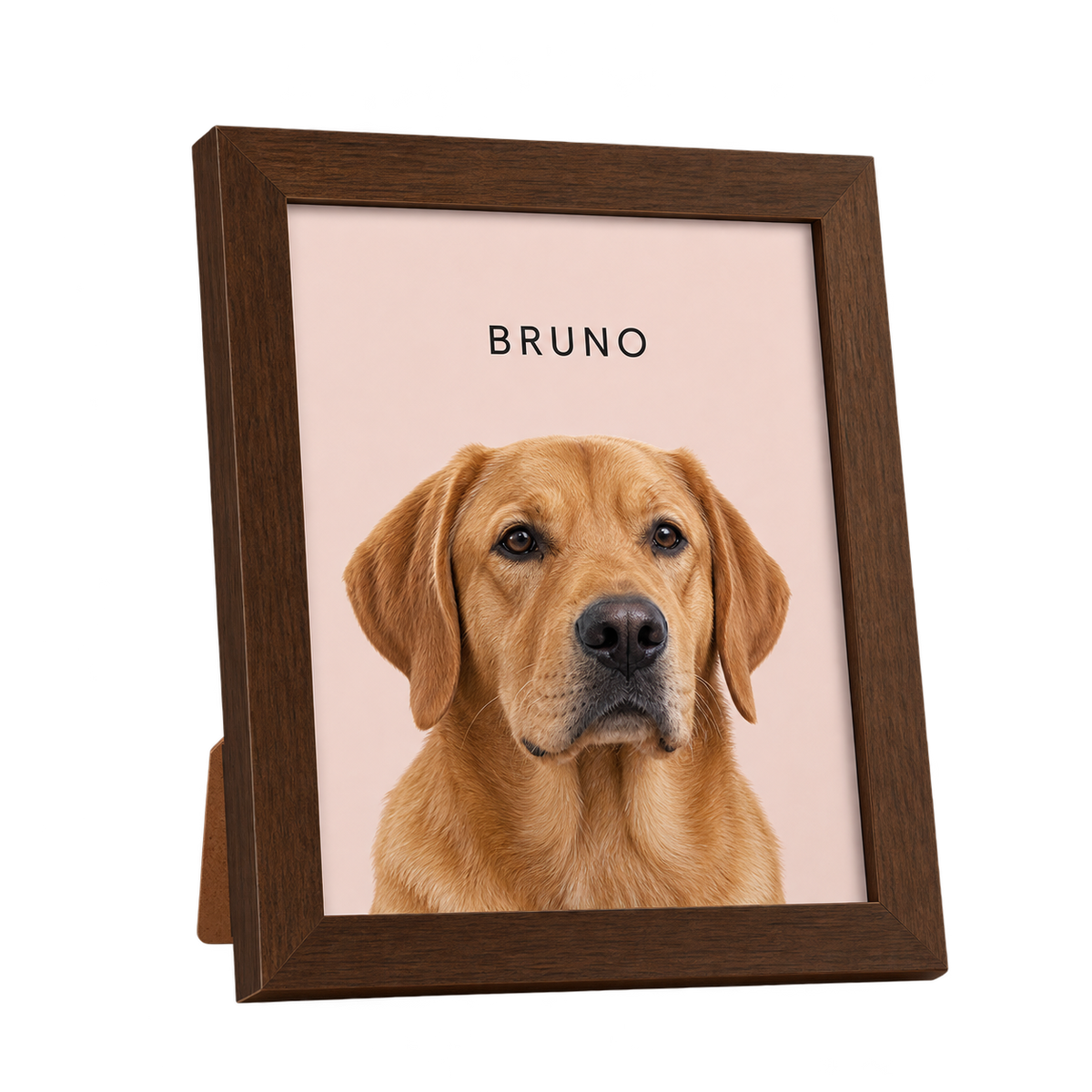 Custom Desktop One Pet Portrait — gallery 07 — Dear Paw Studio