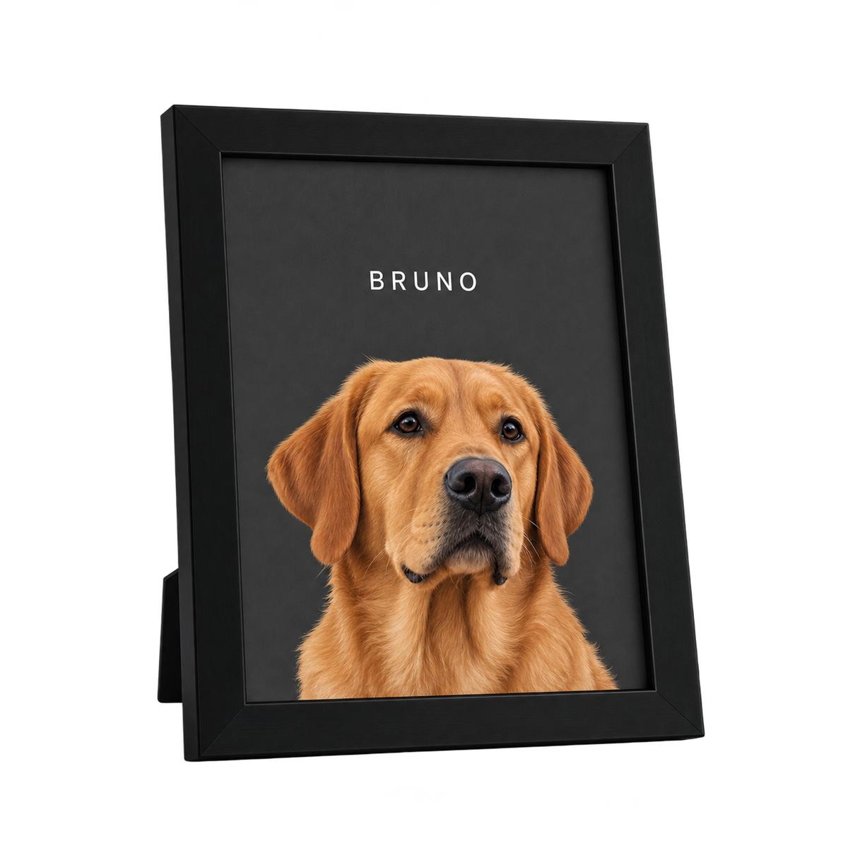 Custom Desktop One Pet Portrait — gallery 09 — Dear Paw Studio