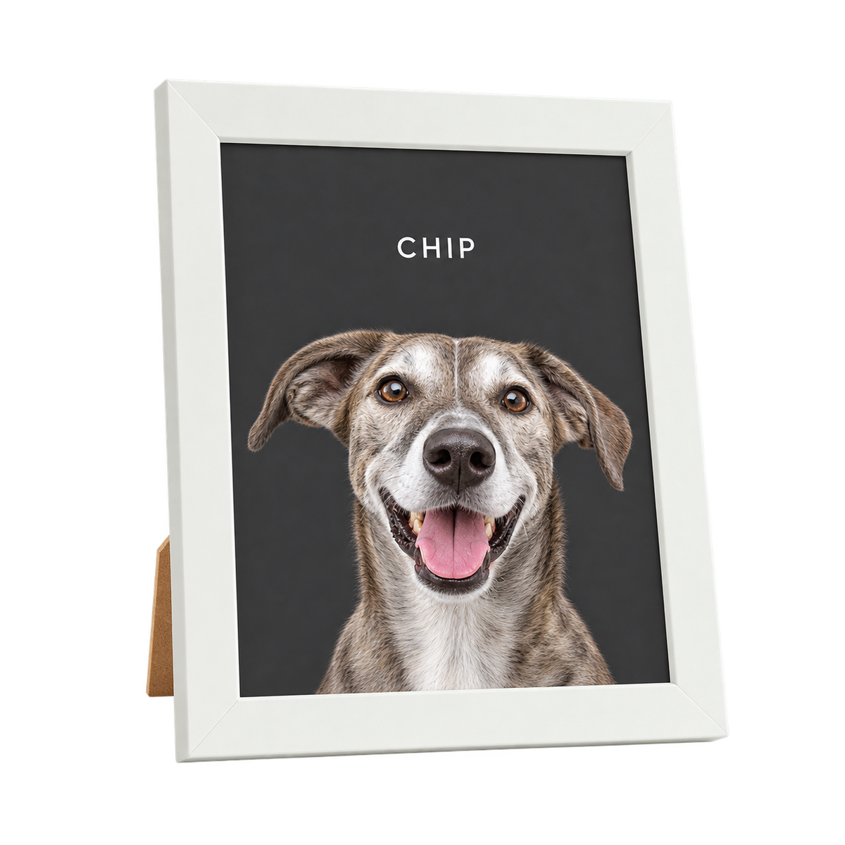 Custom Desktop One Pet Portrait — gallery 10 — Dear Paw Studio