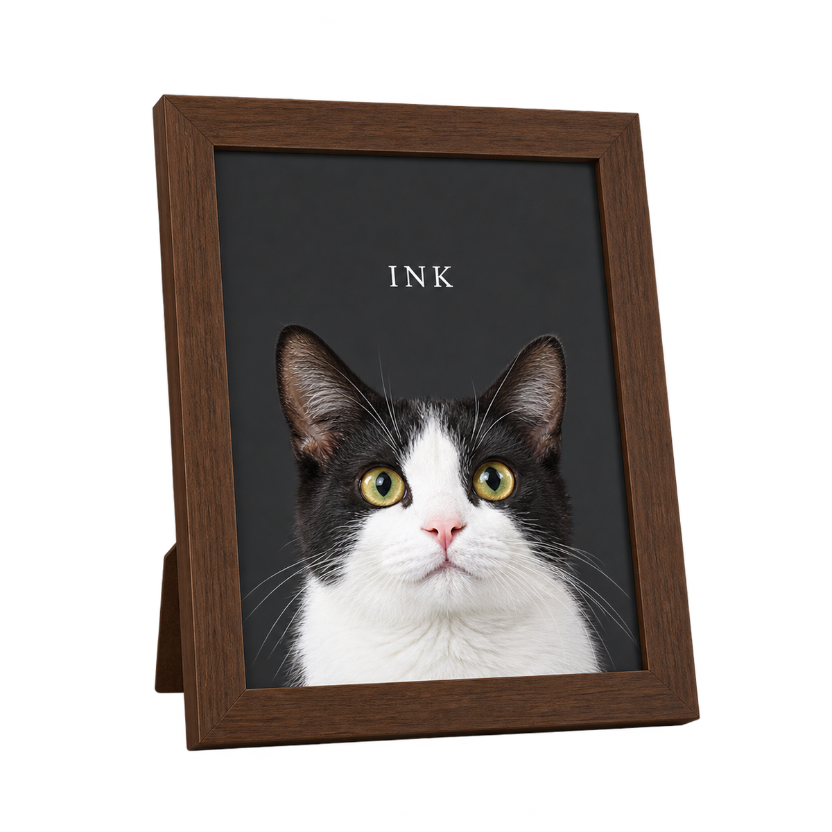 Custom Desktop One Pet Portrait — gallery 11 — Dear Paw Studio