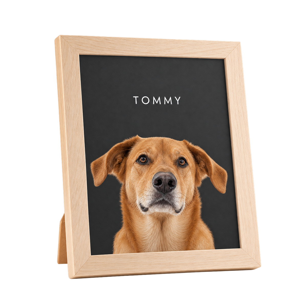 Custom Desktop One Pet Portrait — gallery 12 — Dear Paw Studio
