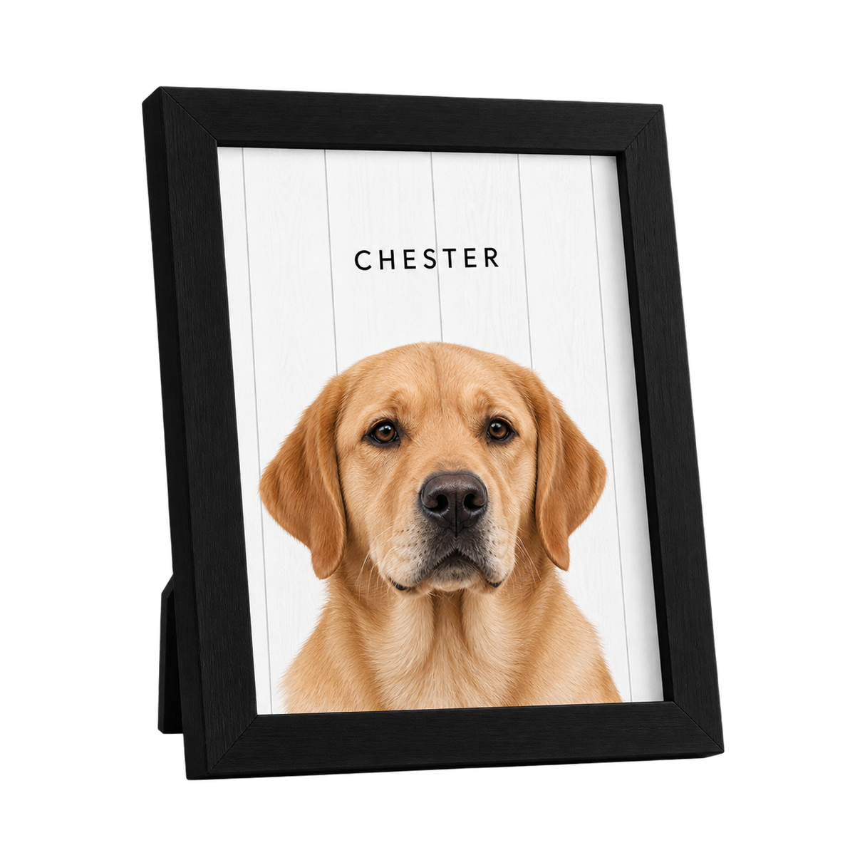 Custom Desktop One Pet Portrait — gallery 13 — Dear Paw Studio