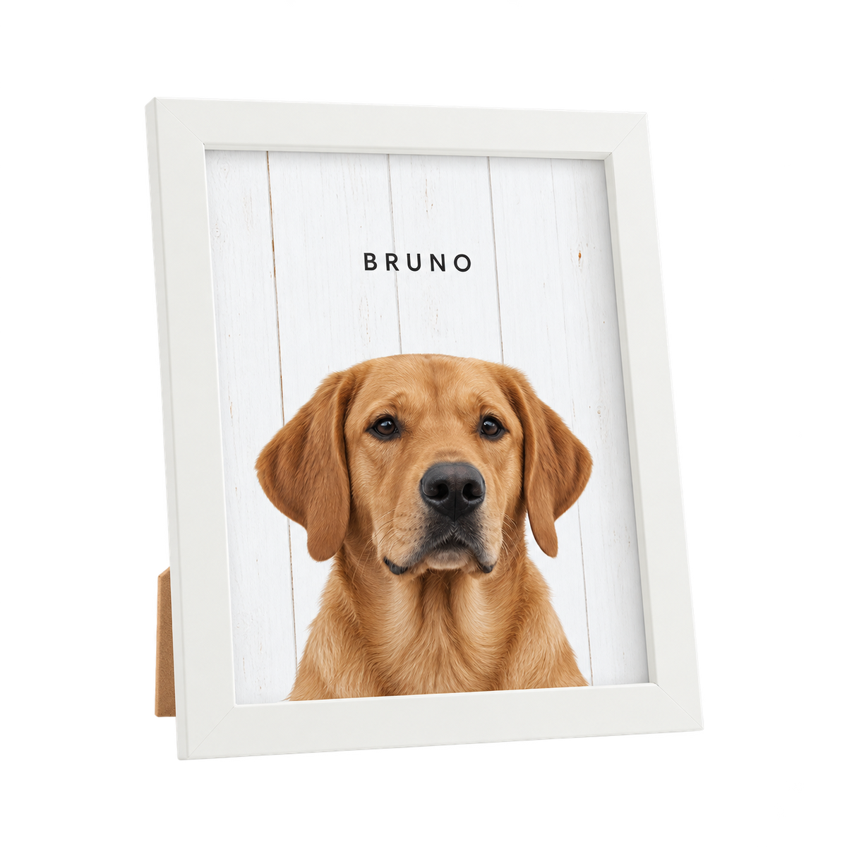 Custom Desktop One Pet Portrait — gallery 14 — Dear Paw Studio