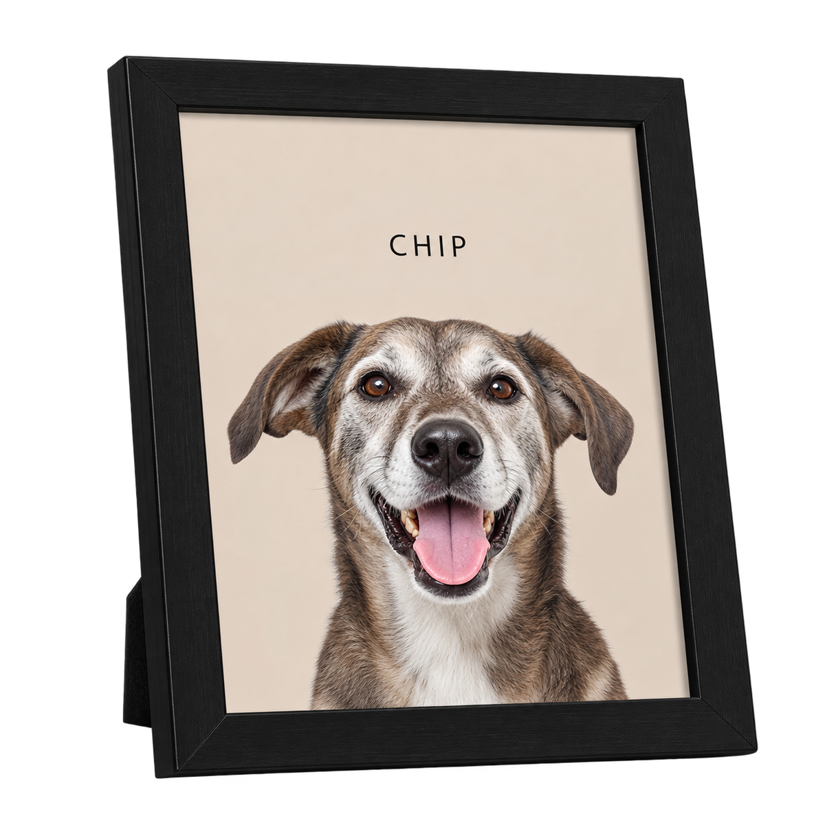 Custom Desktop One Pet Portrait — gallery 17 — Dear Paw Studio