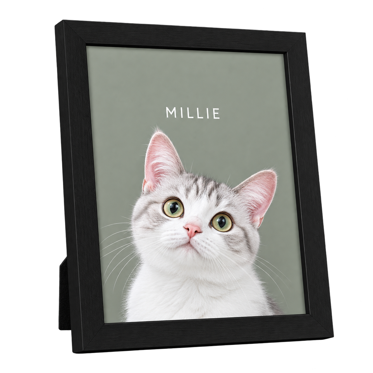 Custom Desktop One Pet Portrait — gallery 21 — Dear Paw Studio