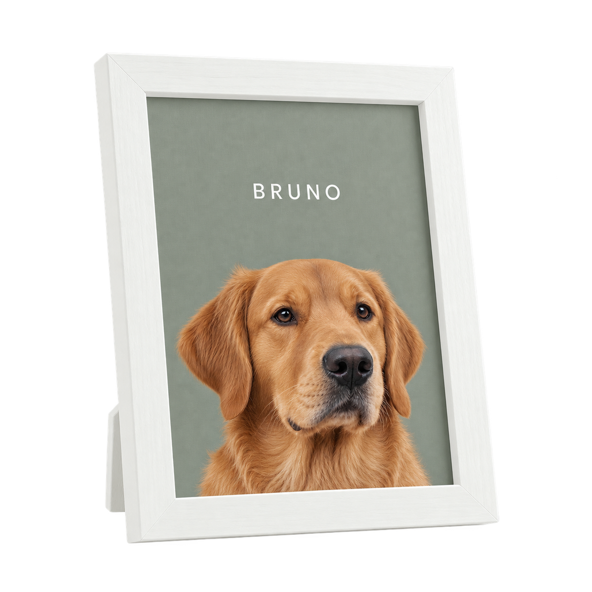 Custom Desktop One Pet Portrait — gallery 22 — Dear Paw Studio