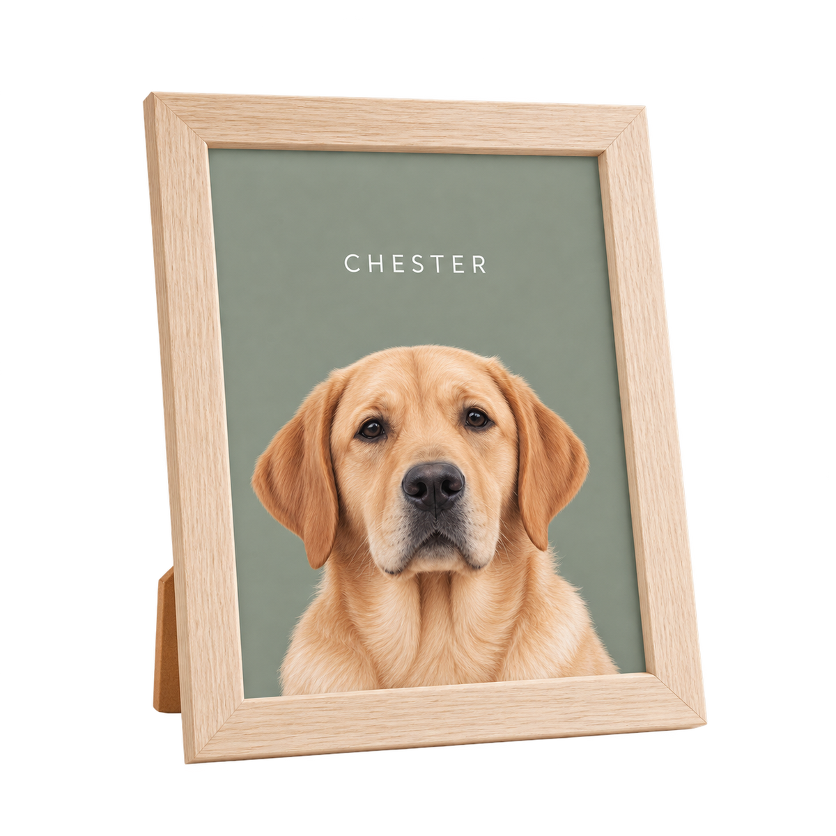 Custom Desktop One Pet Portrait — gallery 24 — Dear Paw Studio