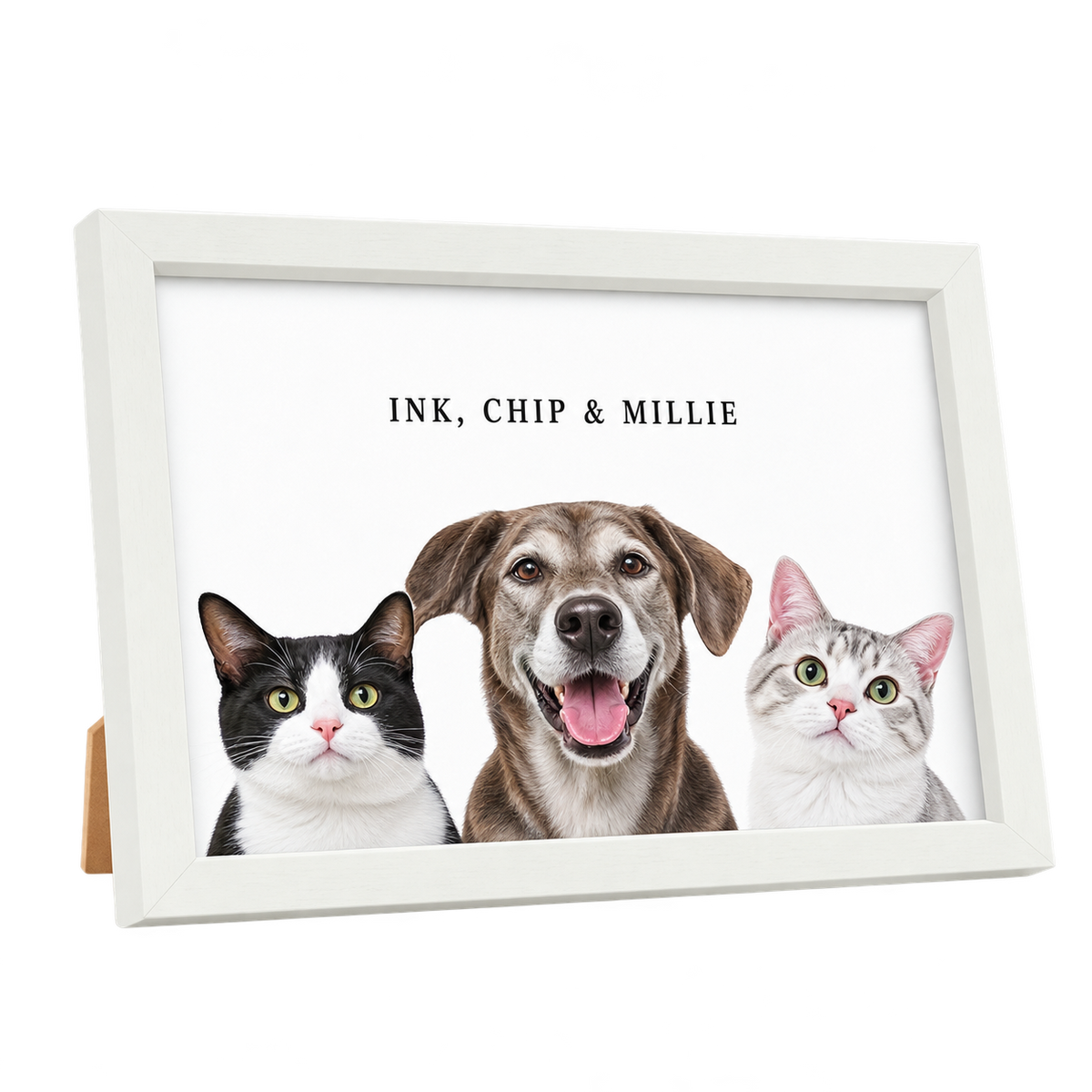 Custom Desktop Three Pet Portrait — gallery 02 — Dear Paw Studio