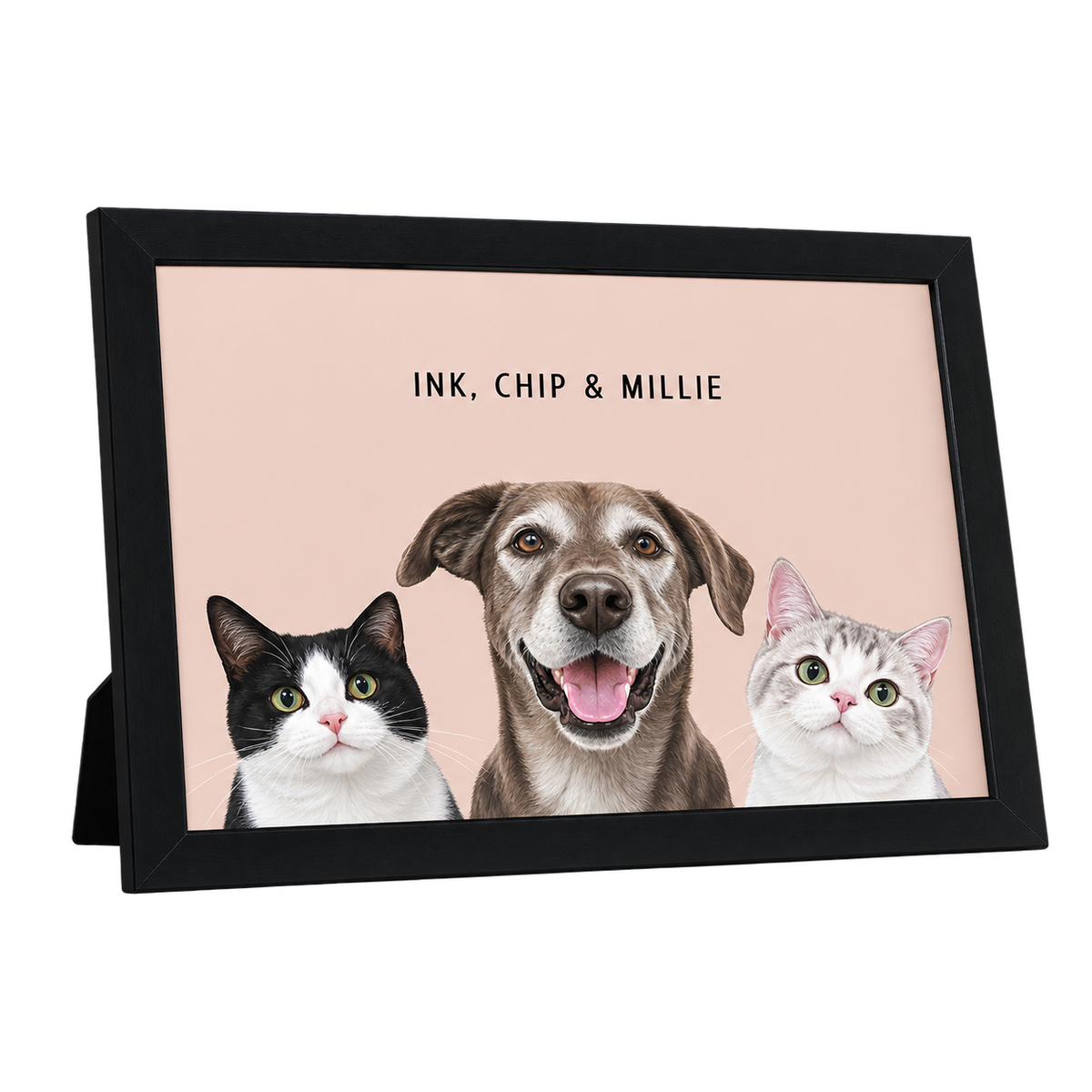 Custom Desktop Three Pet Portrait — gallery 05 — Dear Paw Studio