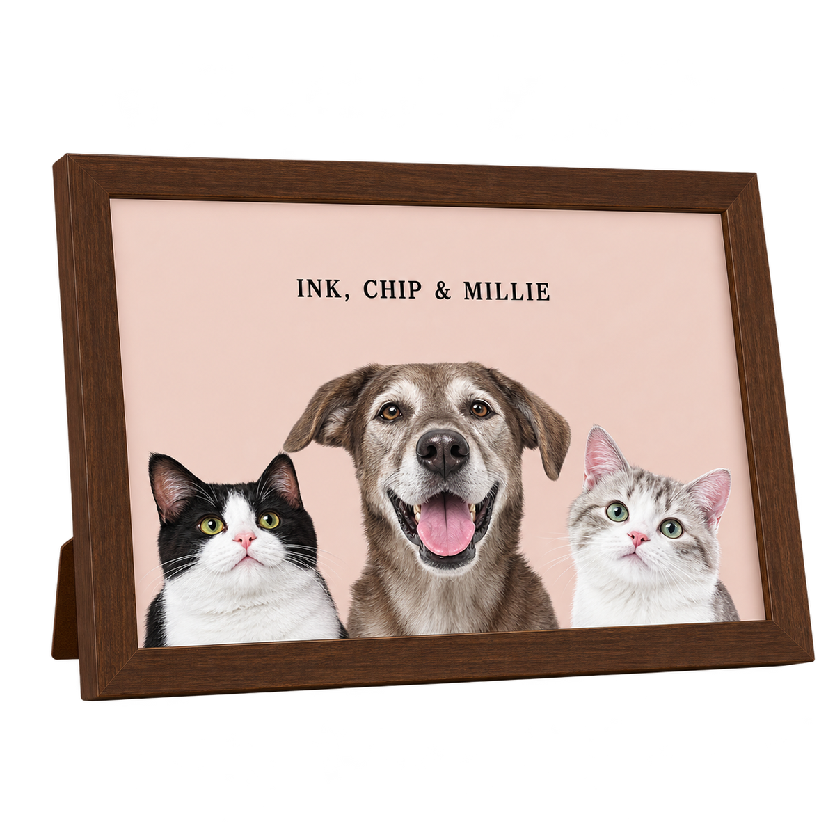 Custom Desktop Three Pet Portrait — gallery 07 — Dear Paw Studio