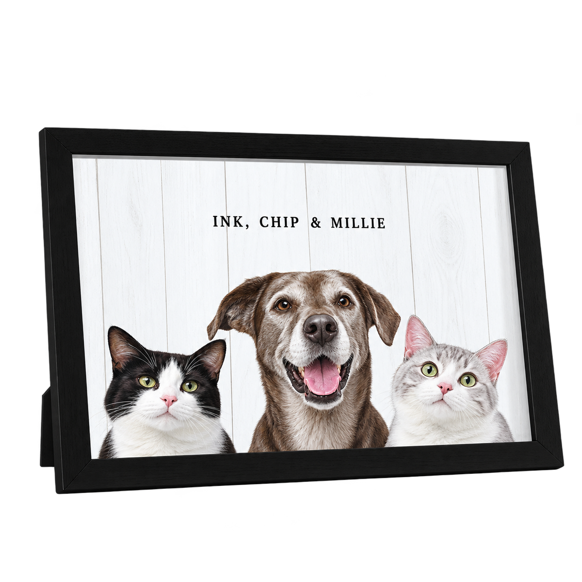 Custom Desktop Three Pet Portrait — gallery 09 — Dear Paw Studio