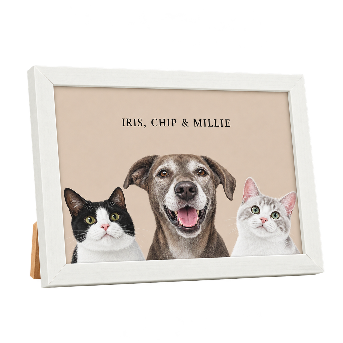 Custom Desktop Three Pet Portrait — gallery 18 — Dear Paw Studio