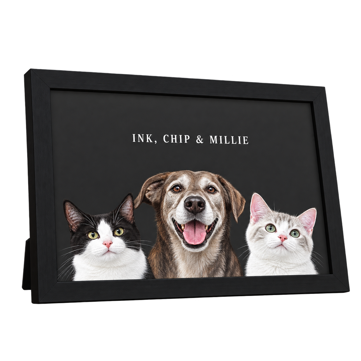 Custom Desktop Three Pet Portrait — gallery 21 — Dear Paw Studio