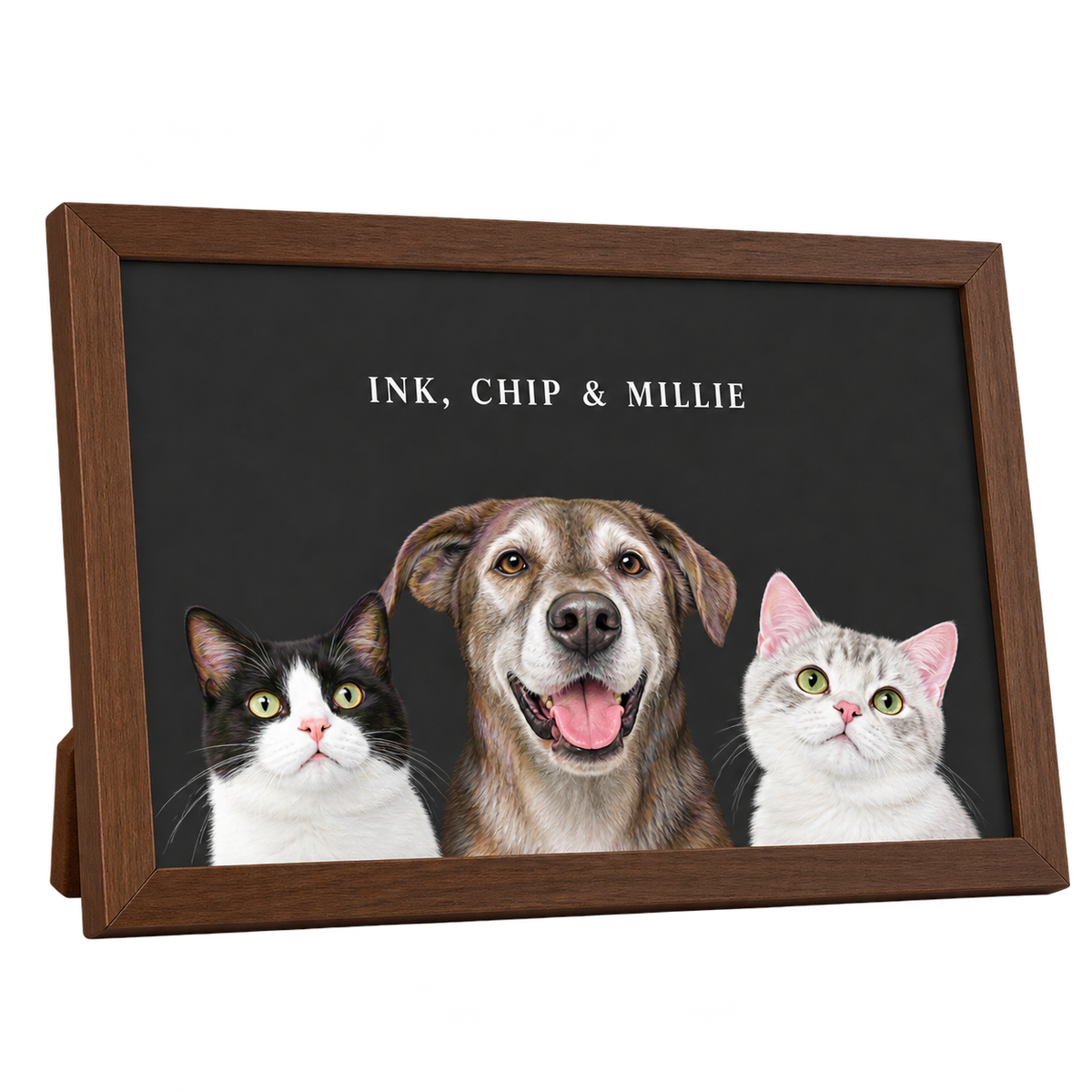 Custom Desktop Three Pet Portrait — gallery 23 — Dear Paw Studio