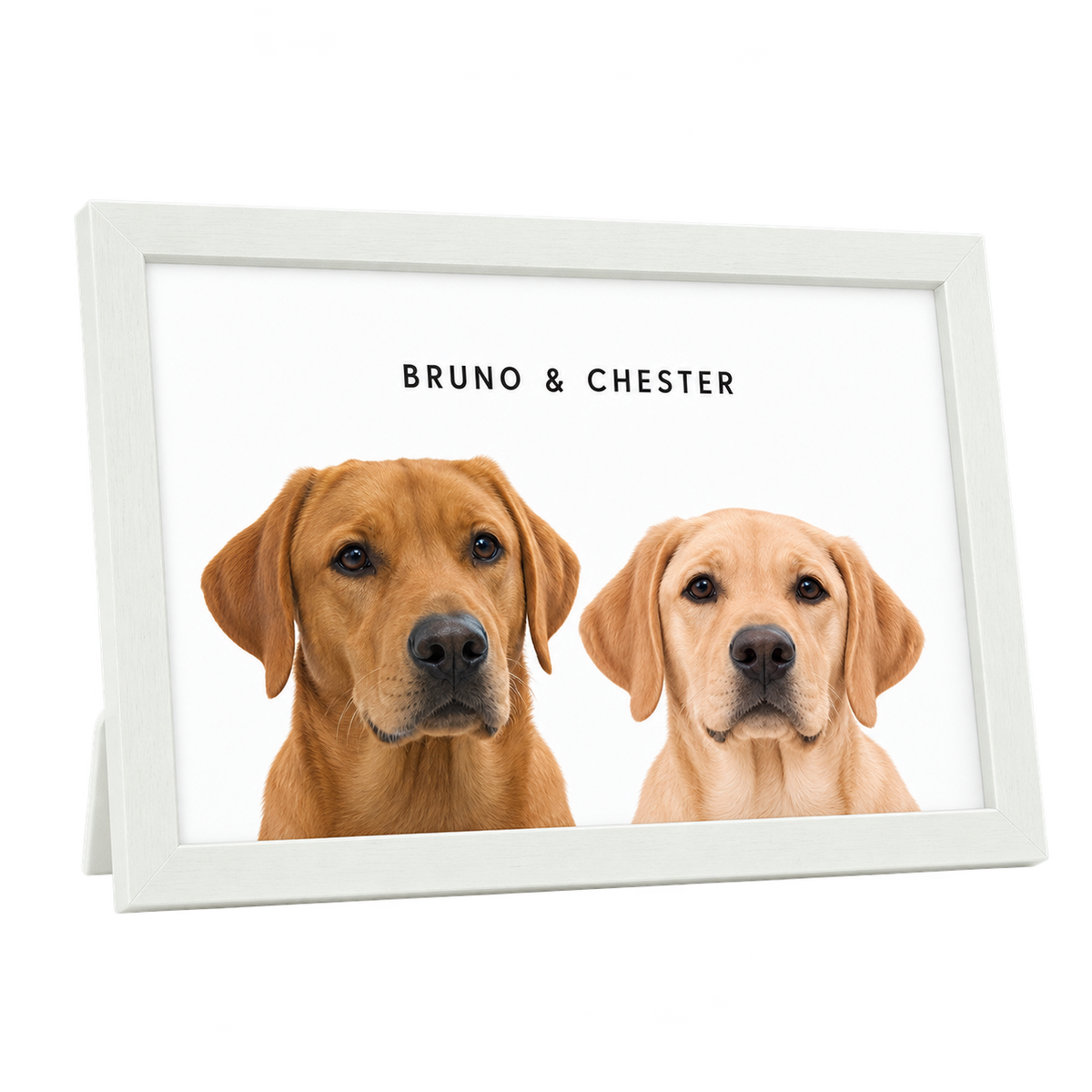 Custom Desktop Two Pet Portrait — gallery 02 — Dear Paw Studio