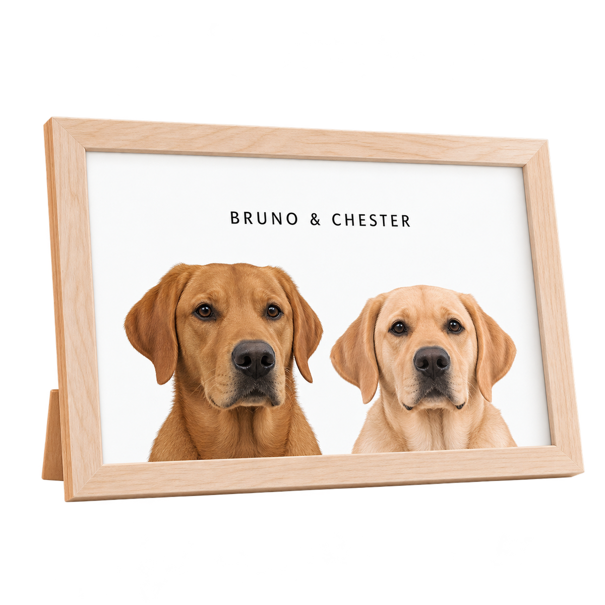 Custom Desktop Two Pet Portrait — gallery 03 — Dear Paw Studio