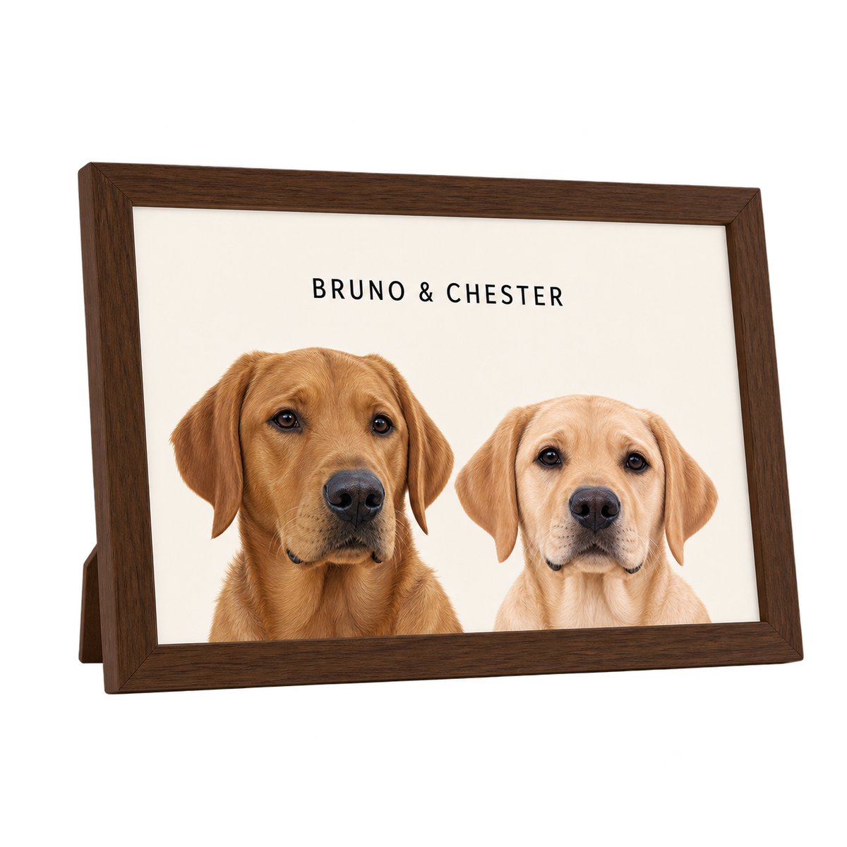 Custom Desktop Two Pet Portrait — gallery 04 — Dear Paw Studio
