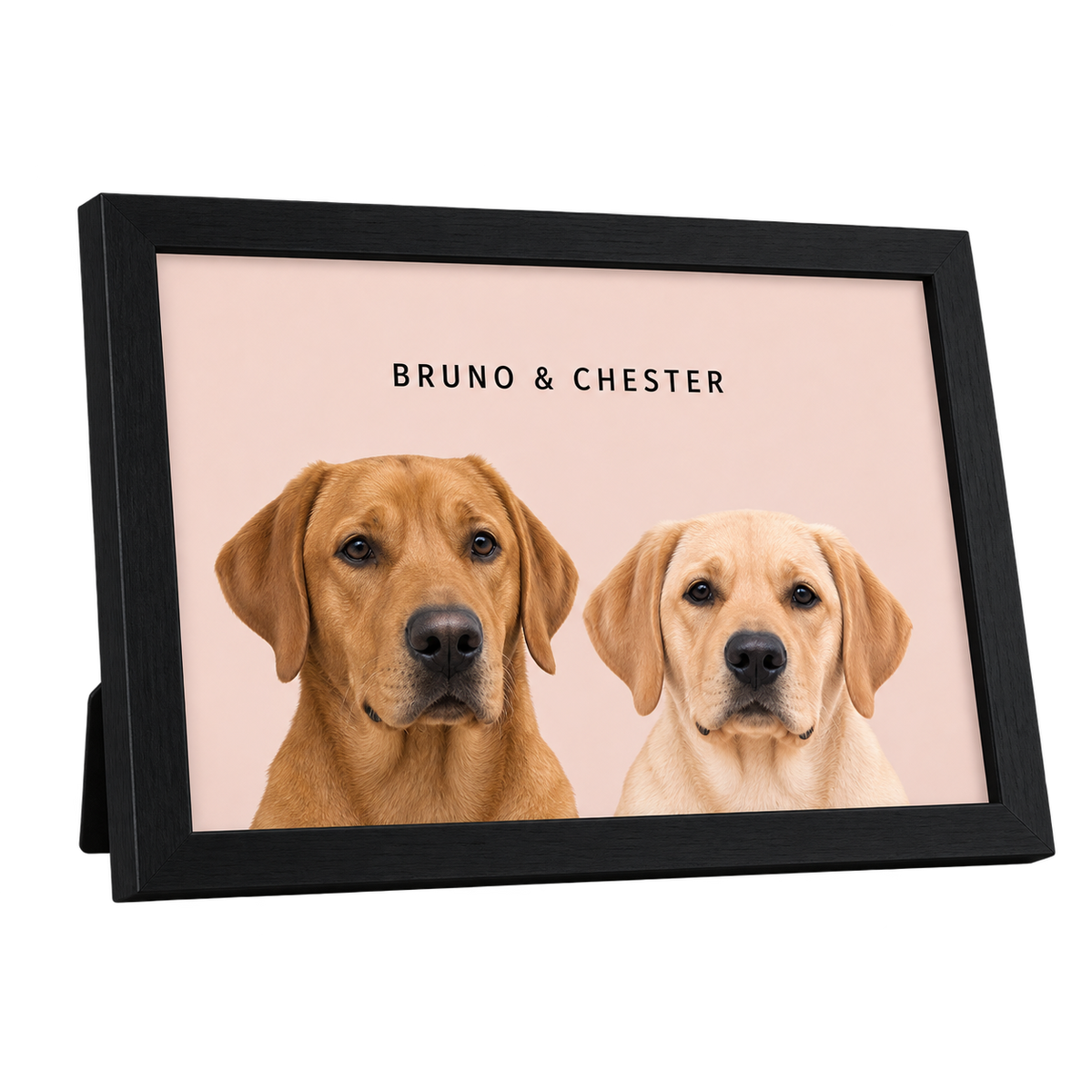 Custom Desktop Two Pet Portrait — gallery 05 — Dear Paw Studio