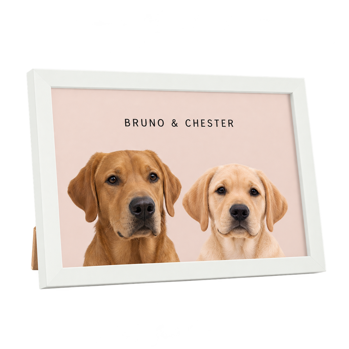 Custom Desktop Two Pet Portrait — gallery 06 — Dear Paw Studio