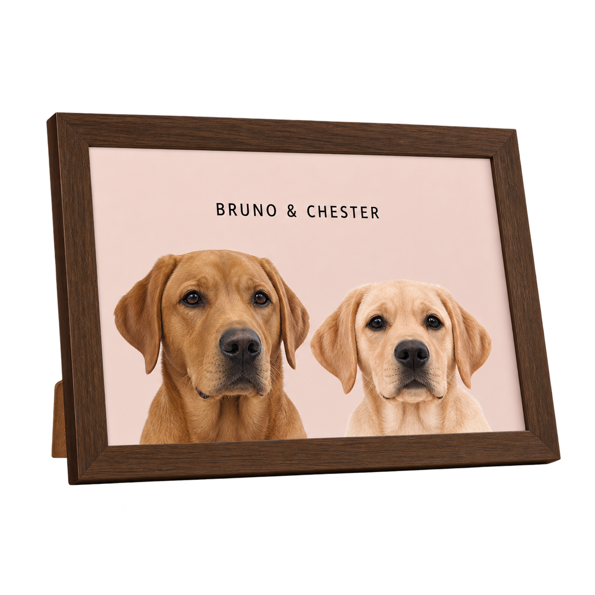Custom Desktop Two Pet Portrait — gallery 07 — Dear Paw Studio