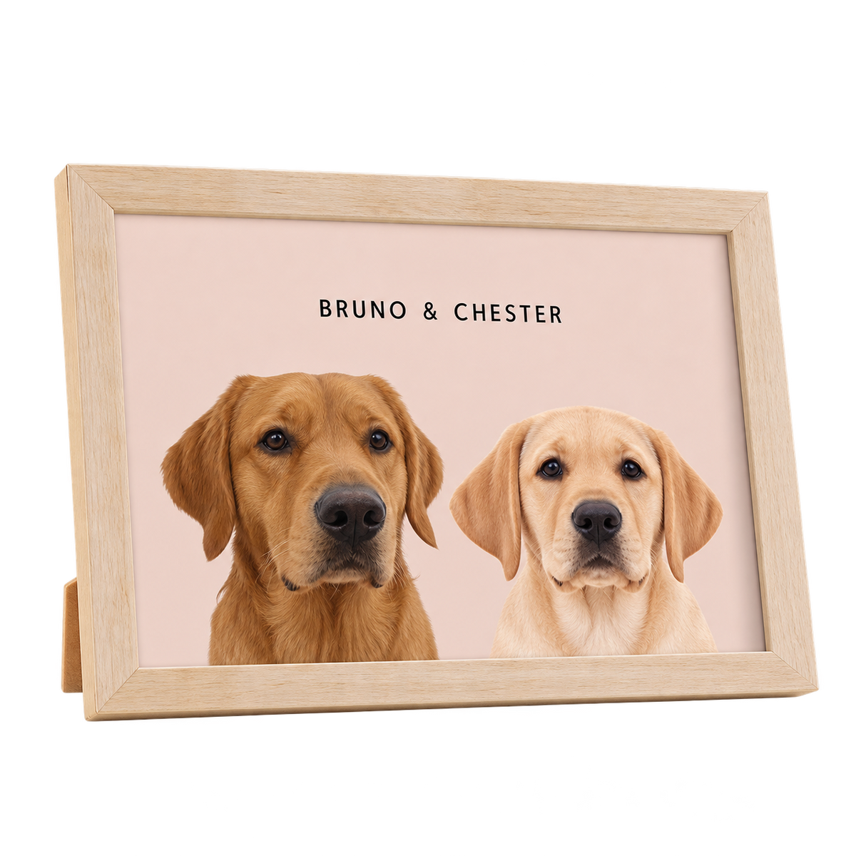 Custom Desktop Two Pet Portrait — gallery 08 — Dear Paw Studio