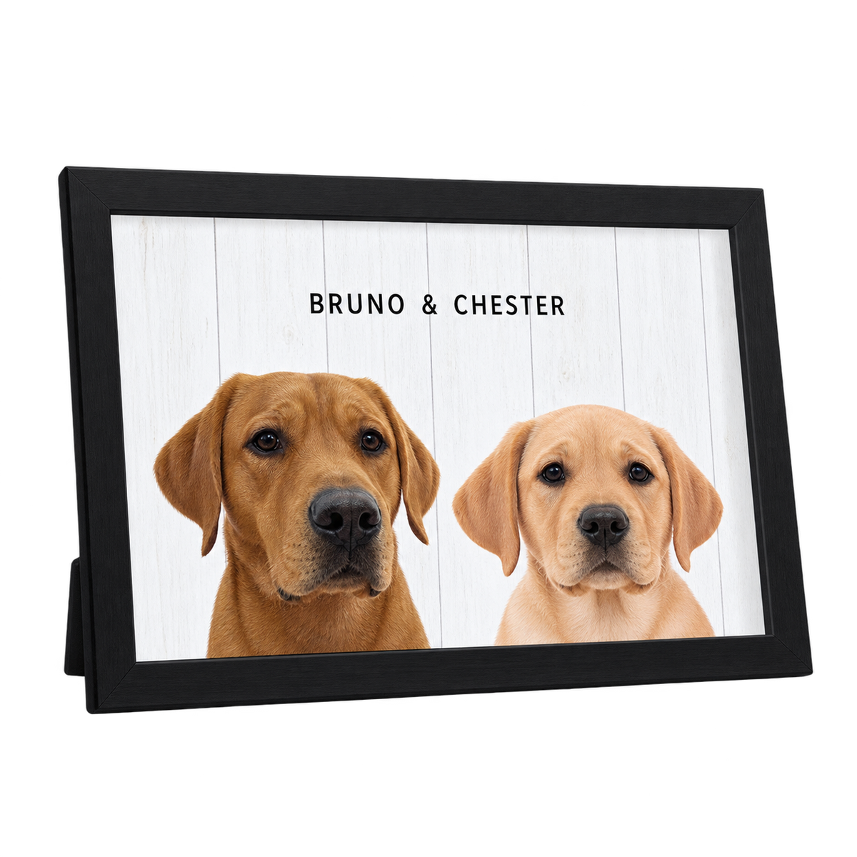 Custom Desktop Two Pet Portrait — gallery 09 — Dear Paw Studio