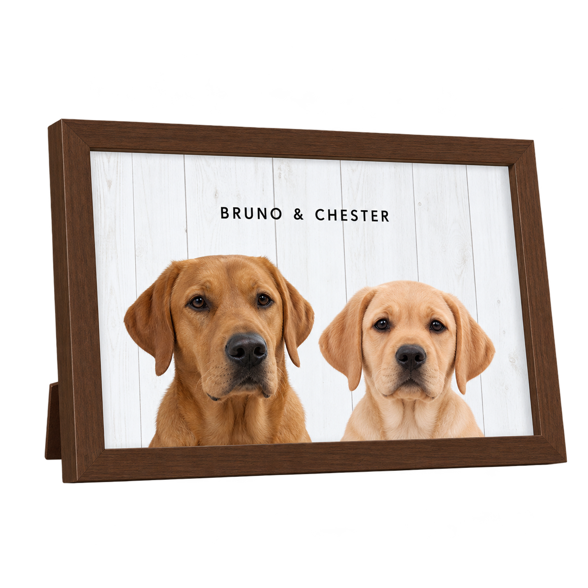 Custom Desktop Two Pet Portrait — gallery 11 — Dear Paw Studio