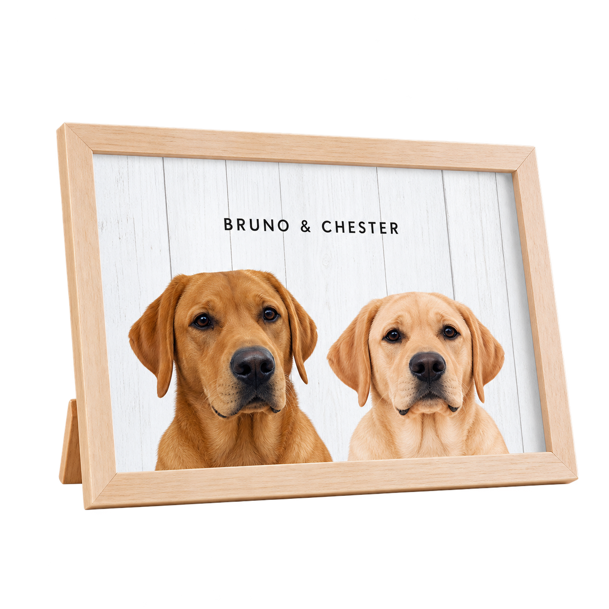 Custom Desktop Two Pet Portrait — gallery 12 — Dear Paw Studio