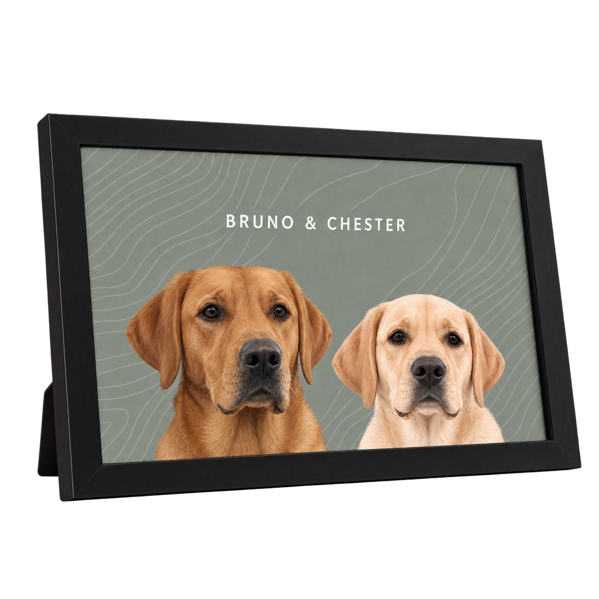 Custom Desktop Two Pet Portrait — gallery 17 — Dear Paw Studio