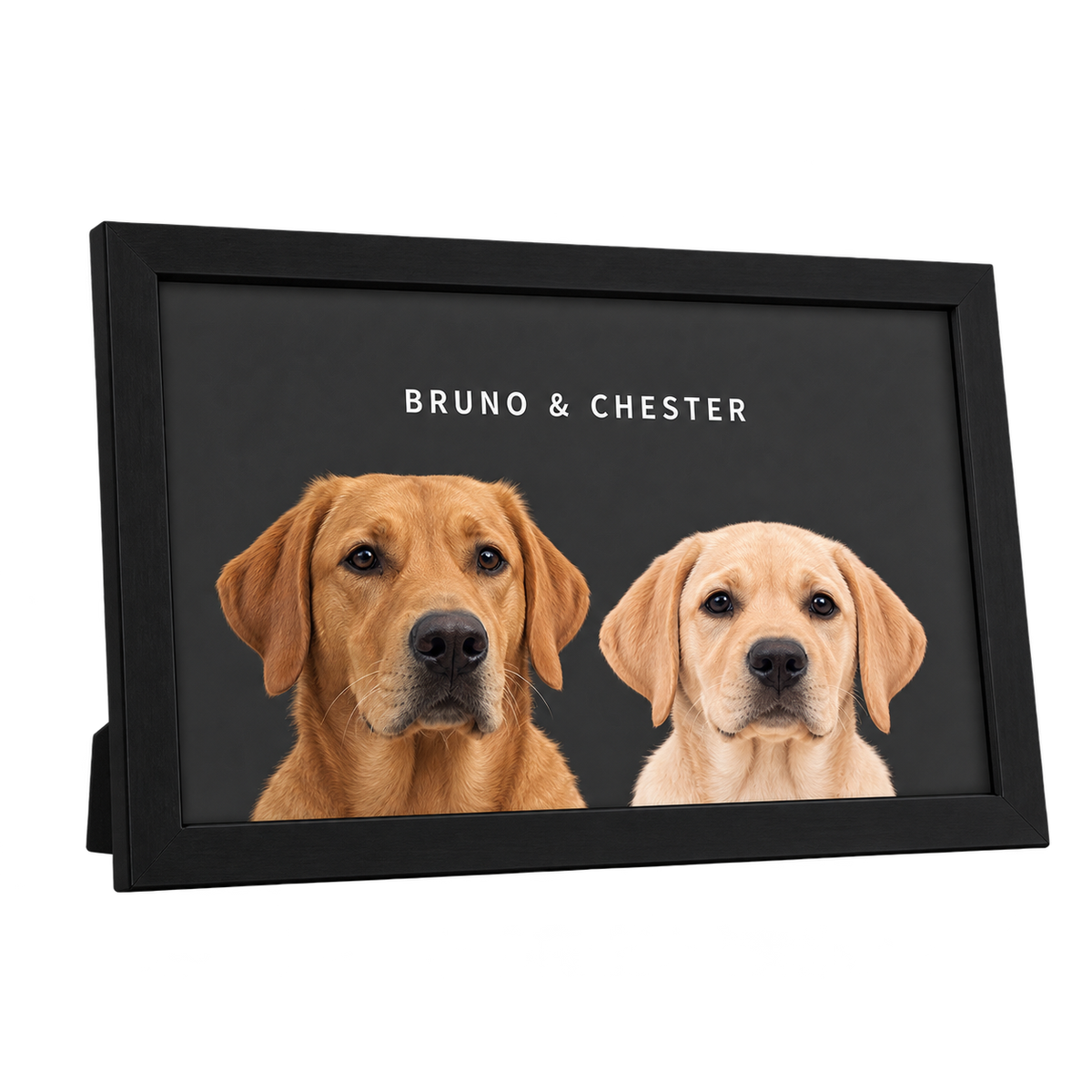 Custom Desktop Two Pet Portrait — gallery 21 — Dear Paw Studio