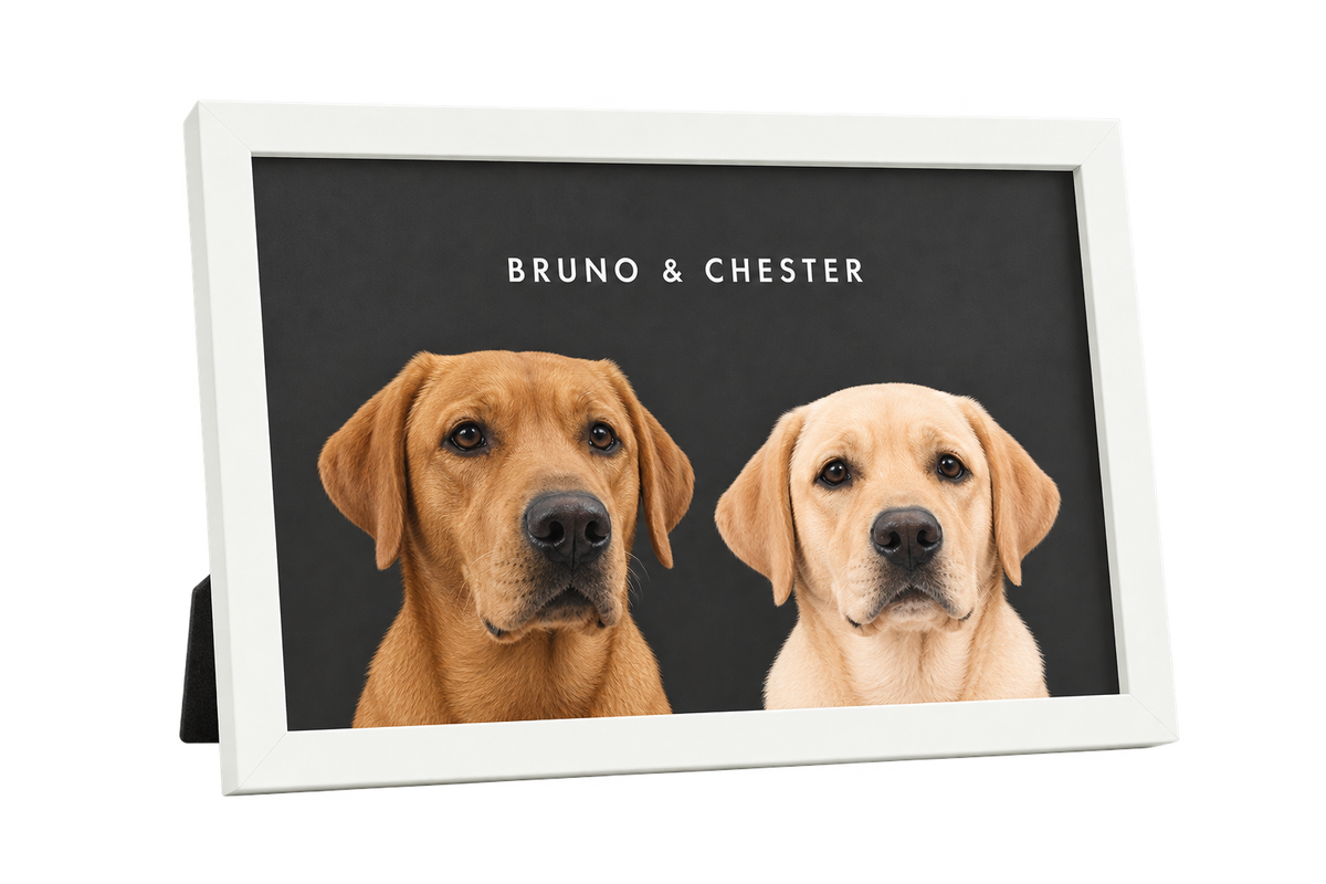 Custom Desktop Two Pet Portrait — gallery 22 — Dear Paw Studio