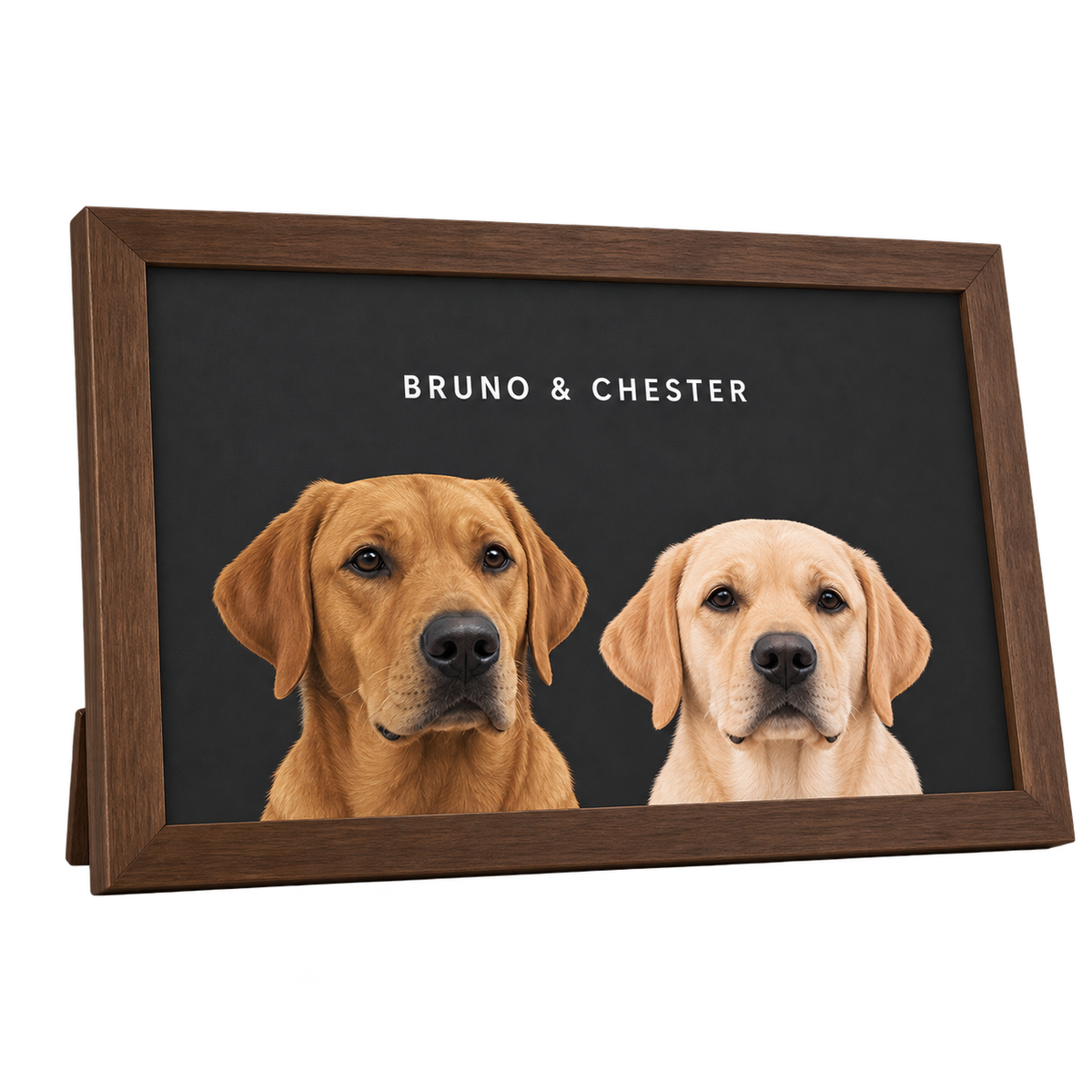 Custom Desktop Two Pet Portrait — gallery 23 — Dear Paw Studio