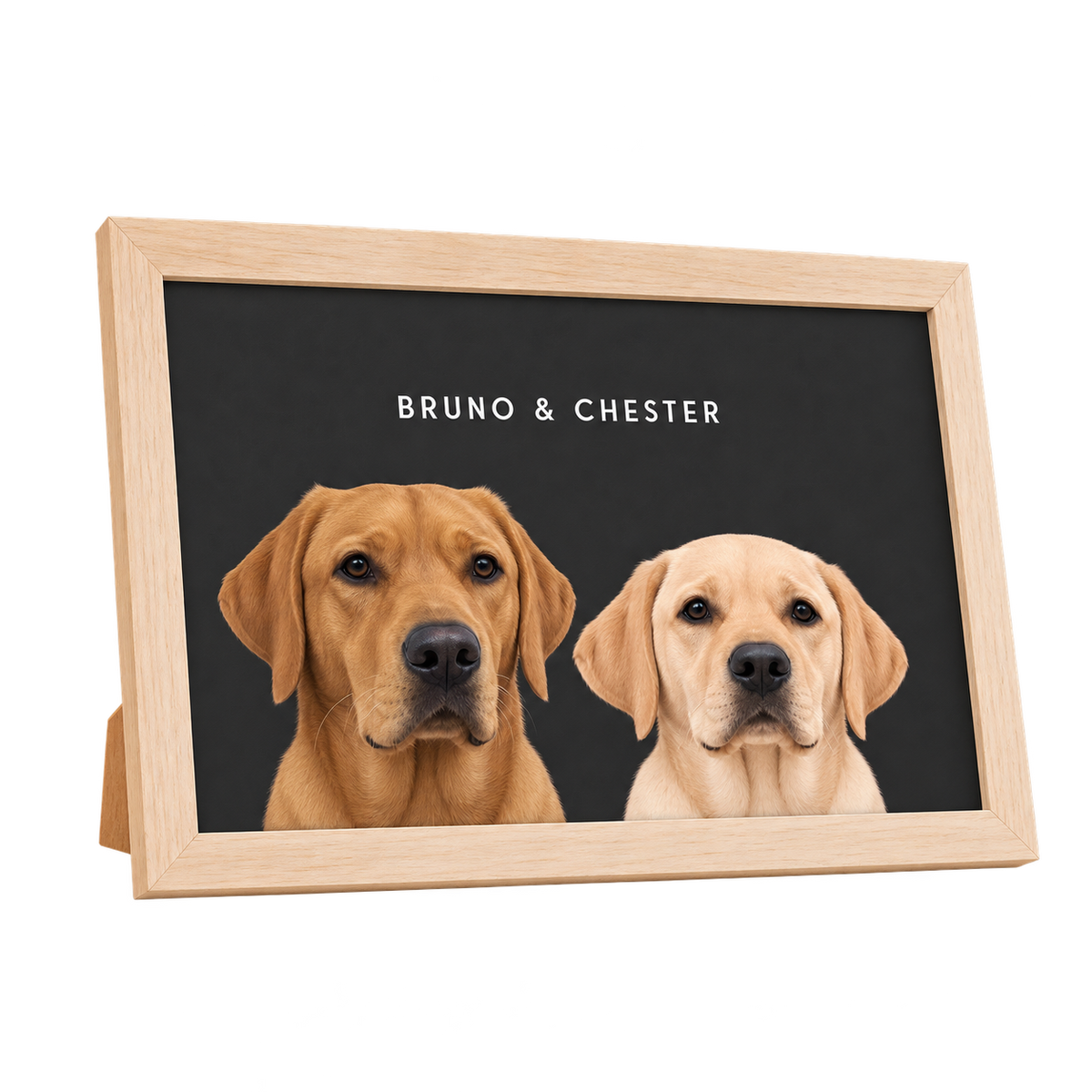 Custom Desktop Two Pet Portrait — gallery 24 — Dear Paw Studio
