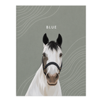 Custom Horse Portrait — gallery 15 — Dear Paw Studio