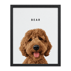 Custom One Pet Portrait — gallery custom-one-pet-portrait — Dear Paw Studio